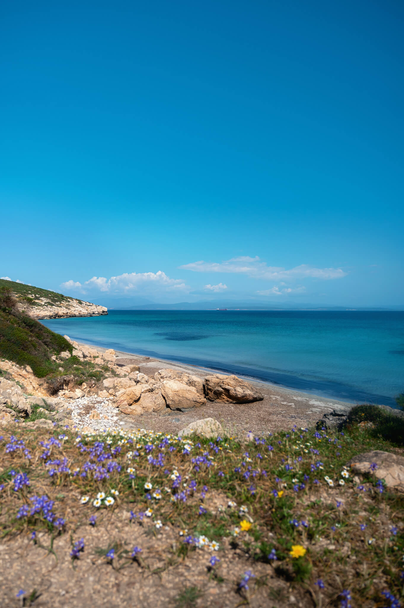 Coastal scene with rocky foreground and purple and white wildflowers, blue sea and clear sky in the distance.