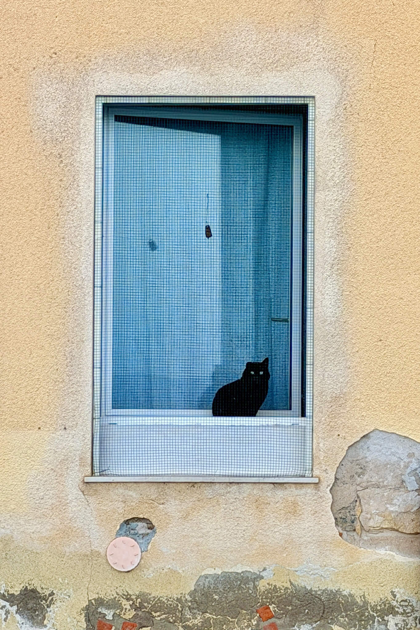 Cat in the window in Sant' Antioco