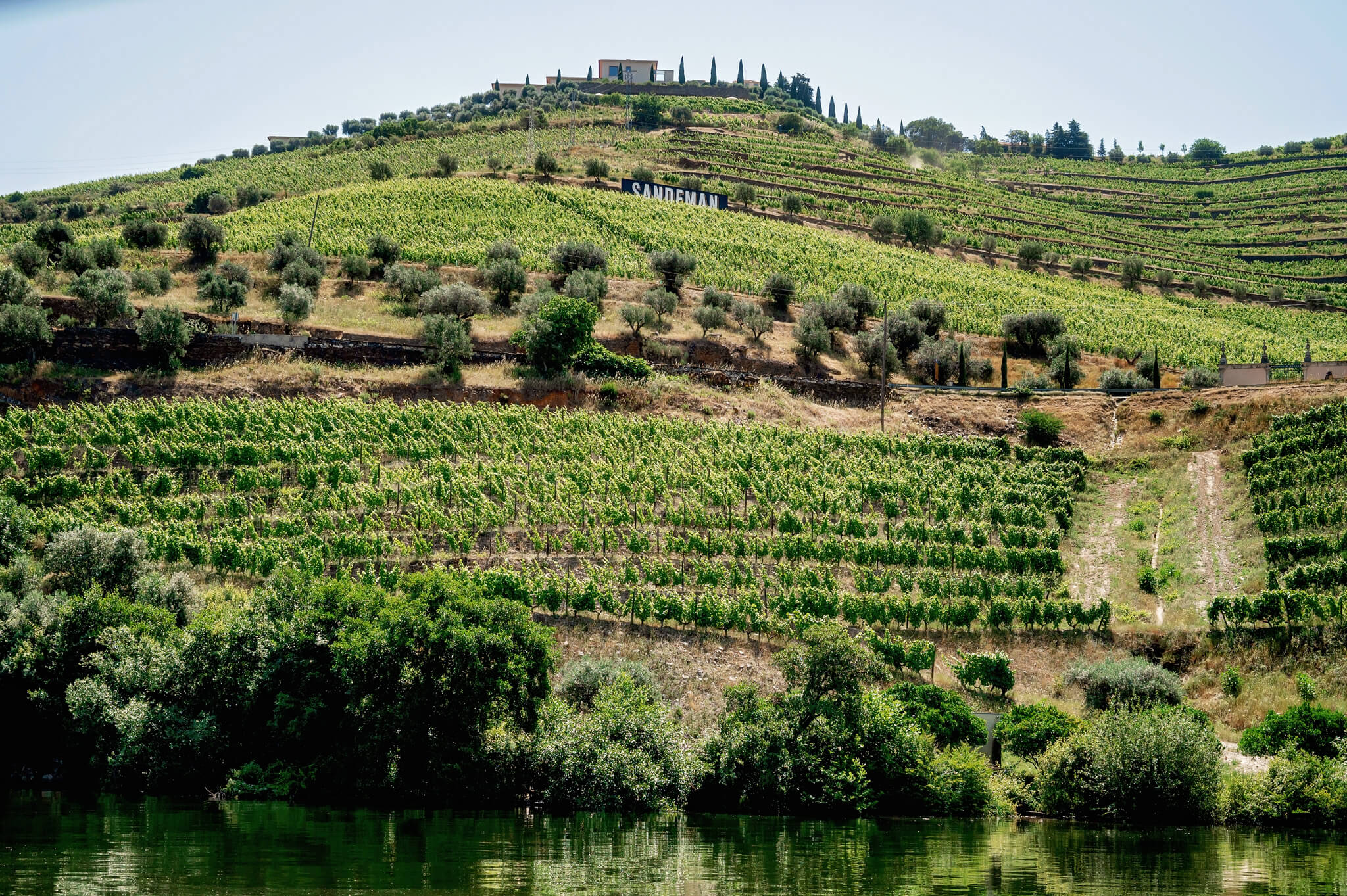 Douro Valley Wine Tour from Porto Portugal