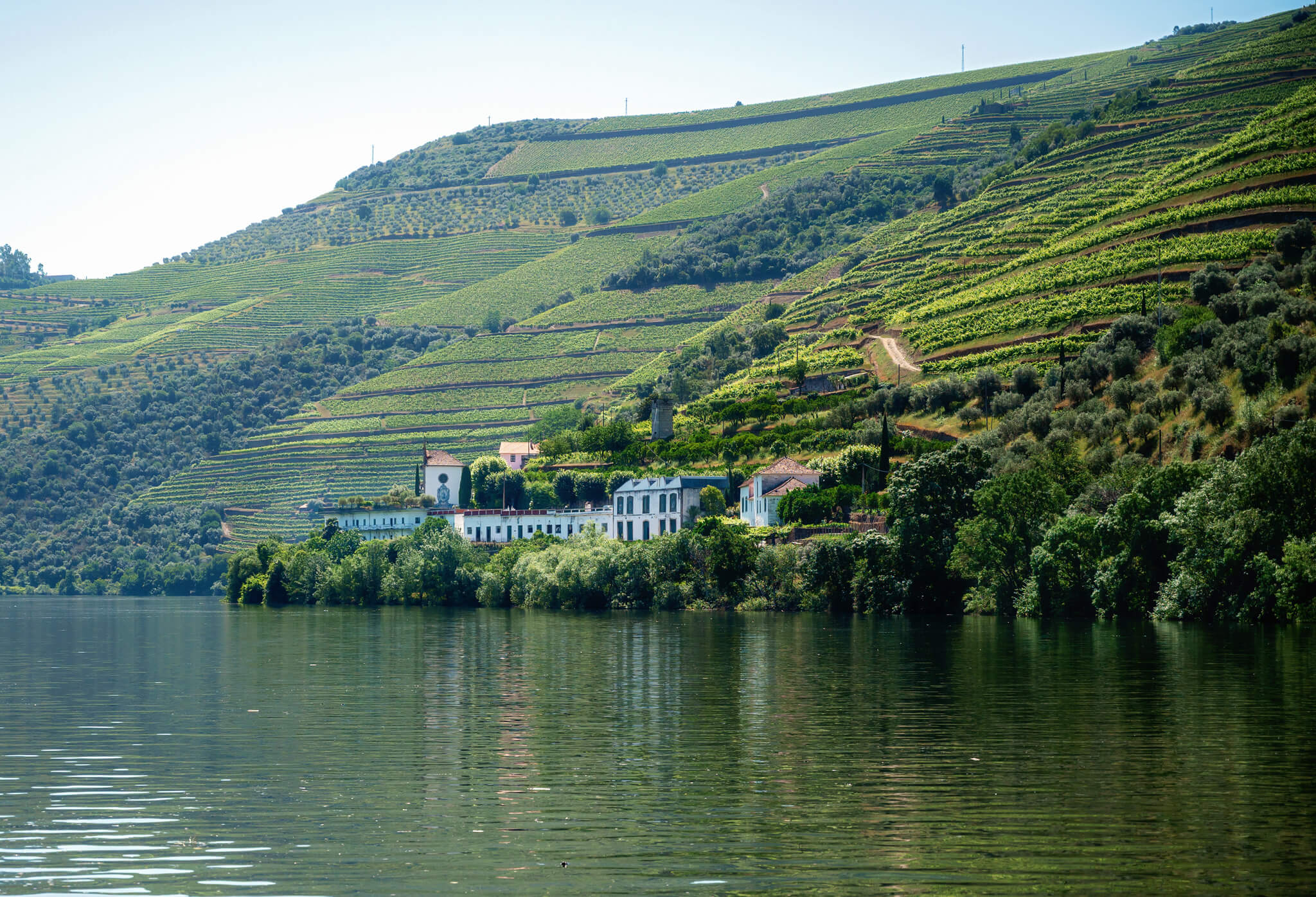 View on our Douro Valley Wine Tour from Porto Portugal