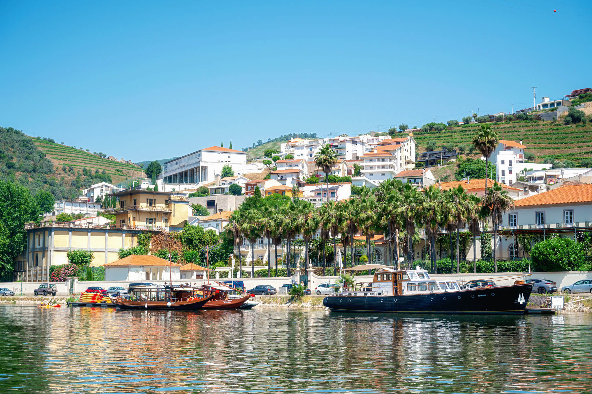 Douro Valley Wine Tour from Porto Portugal