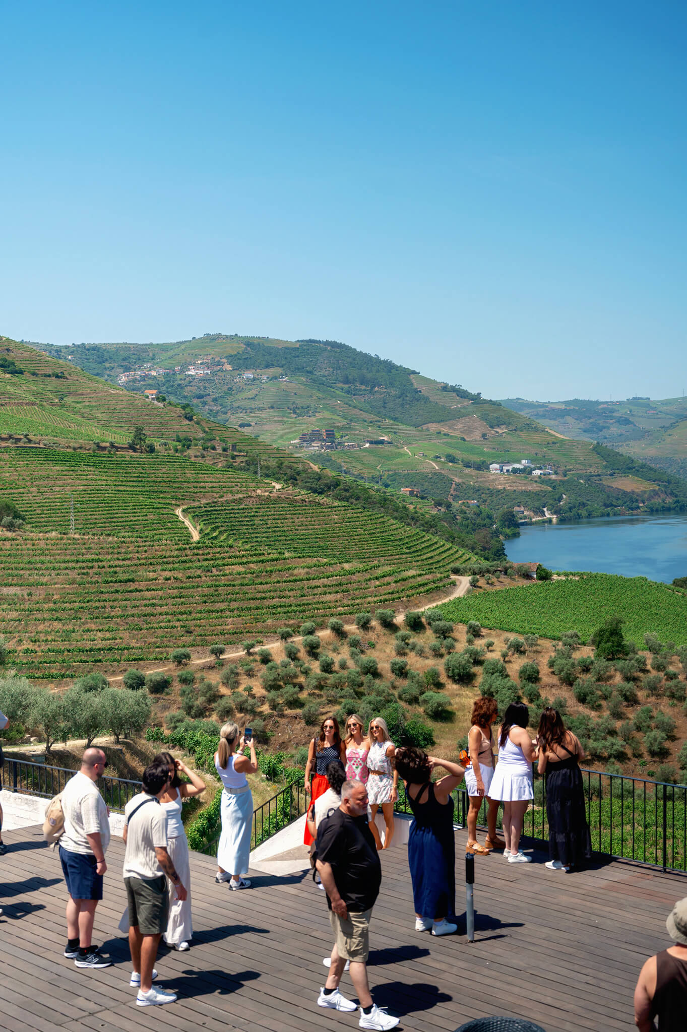 View of Douro Valley From Kopke Vinyard