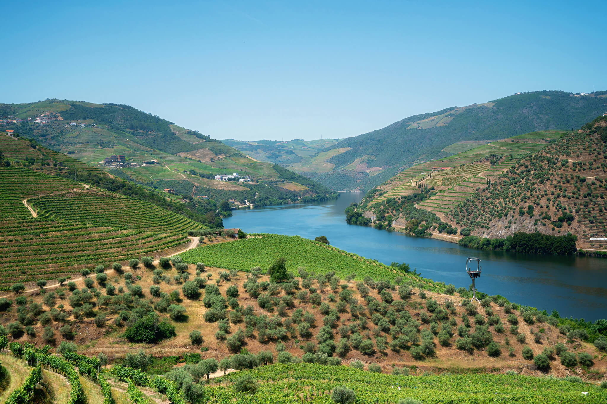 View of Douro Valley From Kopke Vinyard