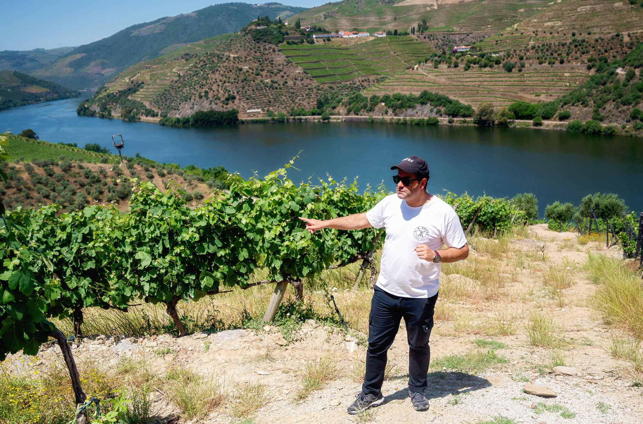 Kopke Vineyards Douro Valley