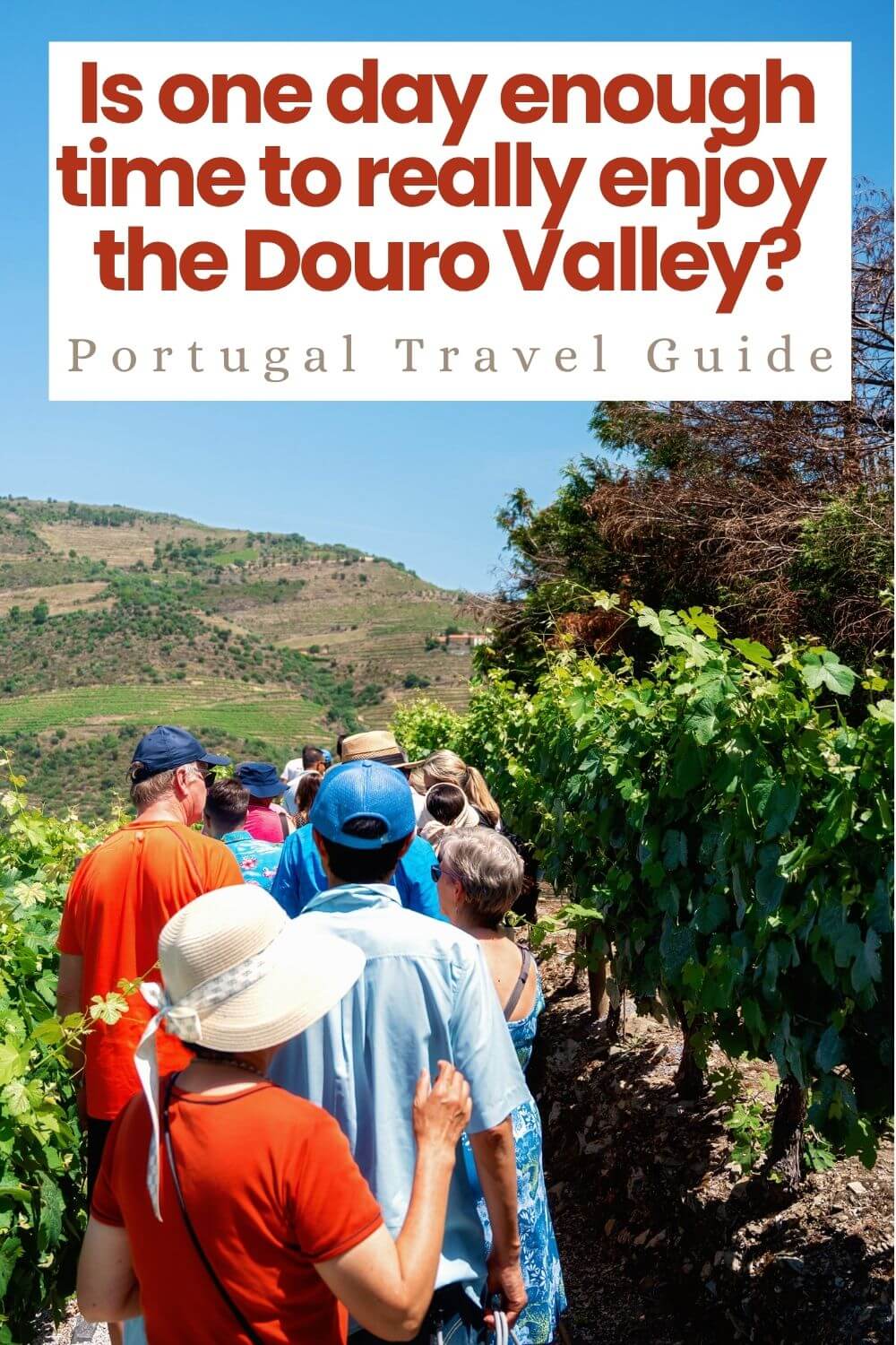 One Day Douro Valley Day Trip From Porto