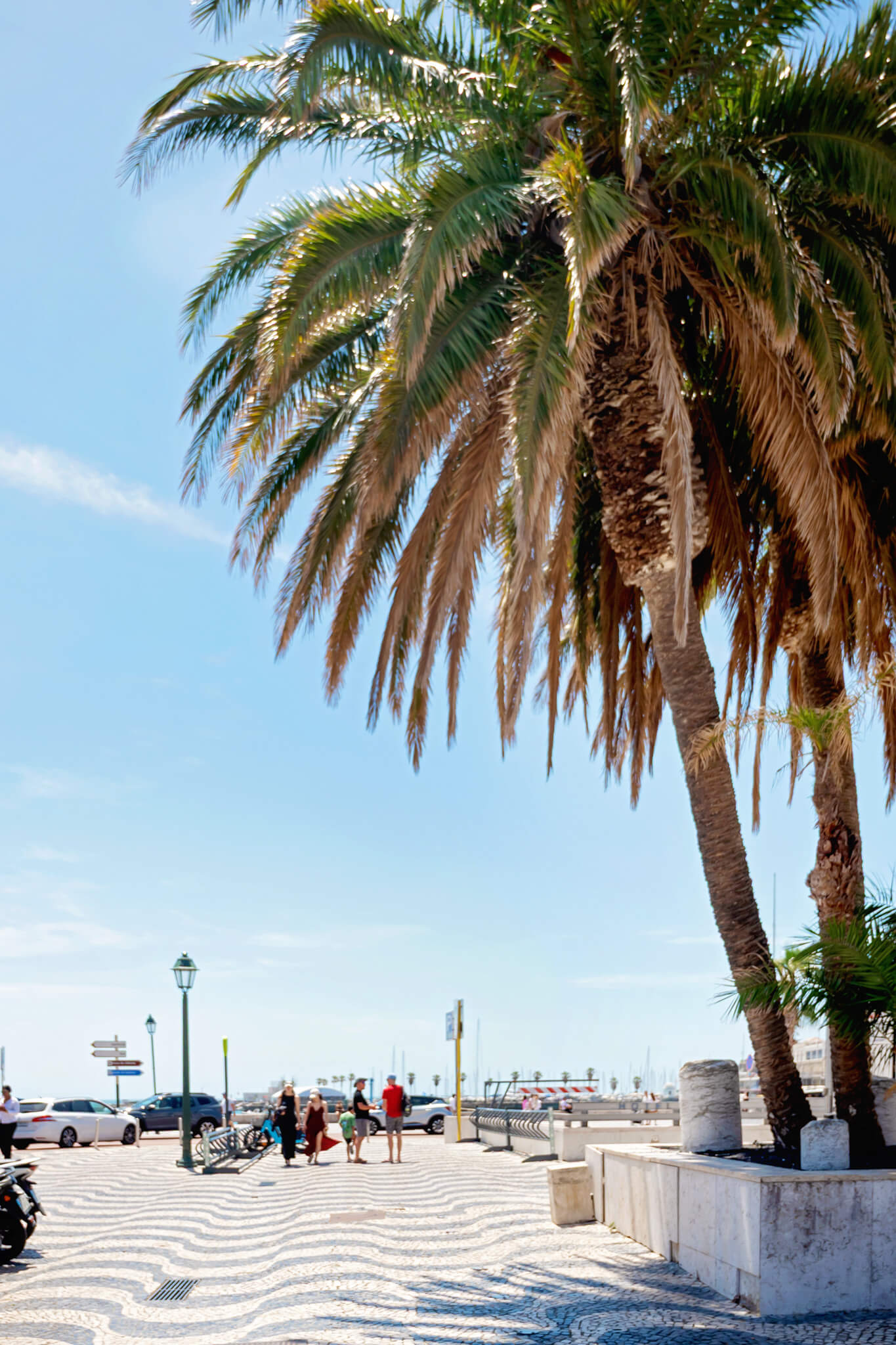 tile sidewalks and palm tree in Cascais Portugal