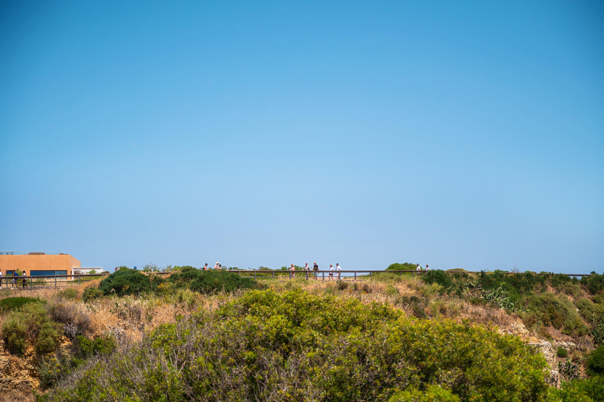 People walk along a railing on a sunny hillside, with shrubs in the foreground and a clear blue sky above.