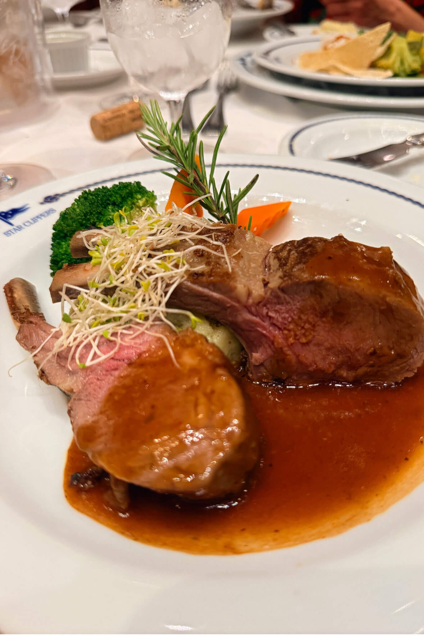Plate of sliced beef in brown gravy with broccoli, carrot, alfalfa sprouts, and a rosemary sprig garnish