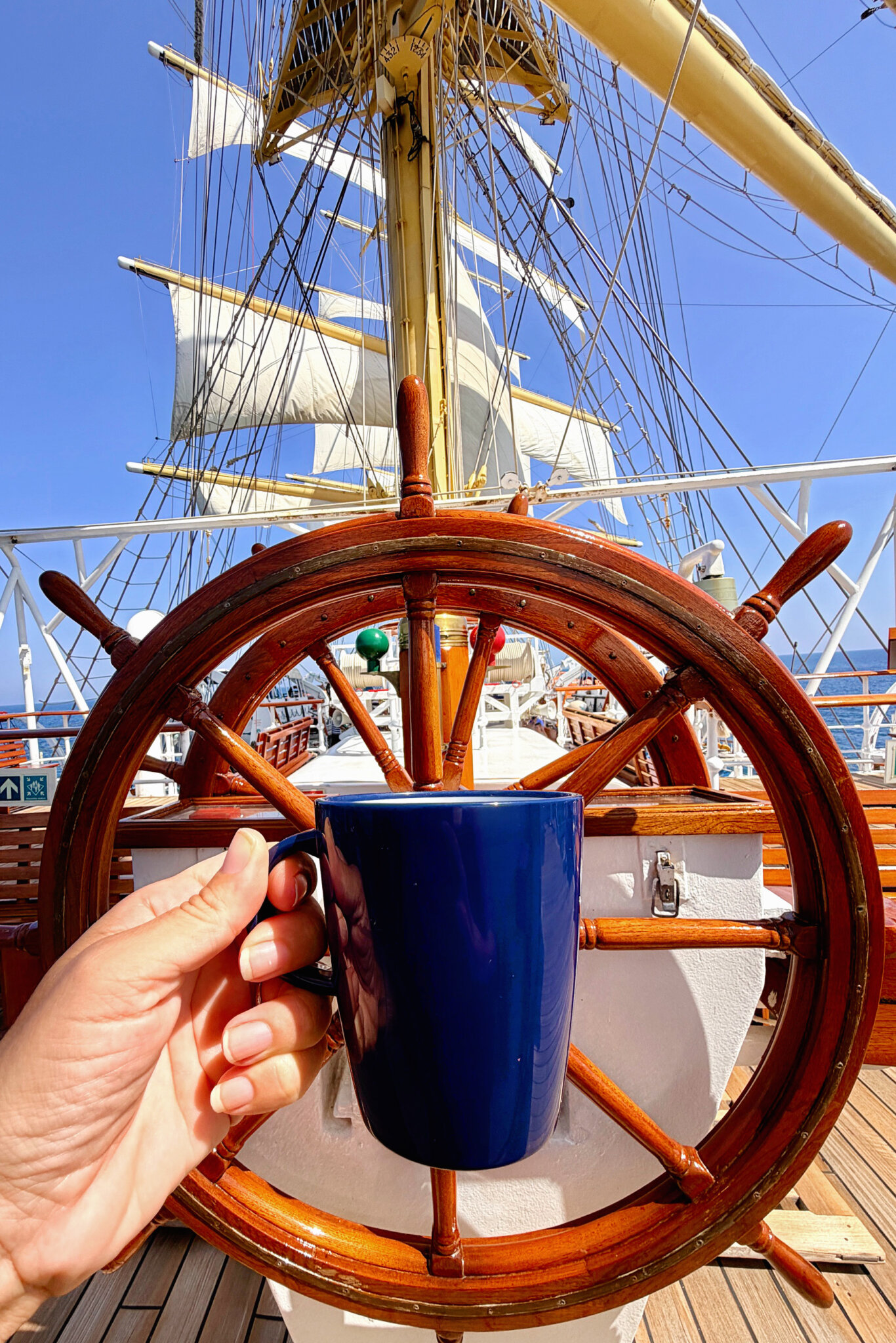 Royal Clipper Sails up