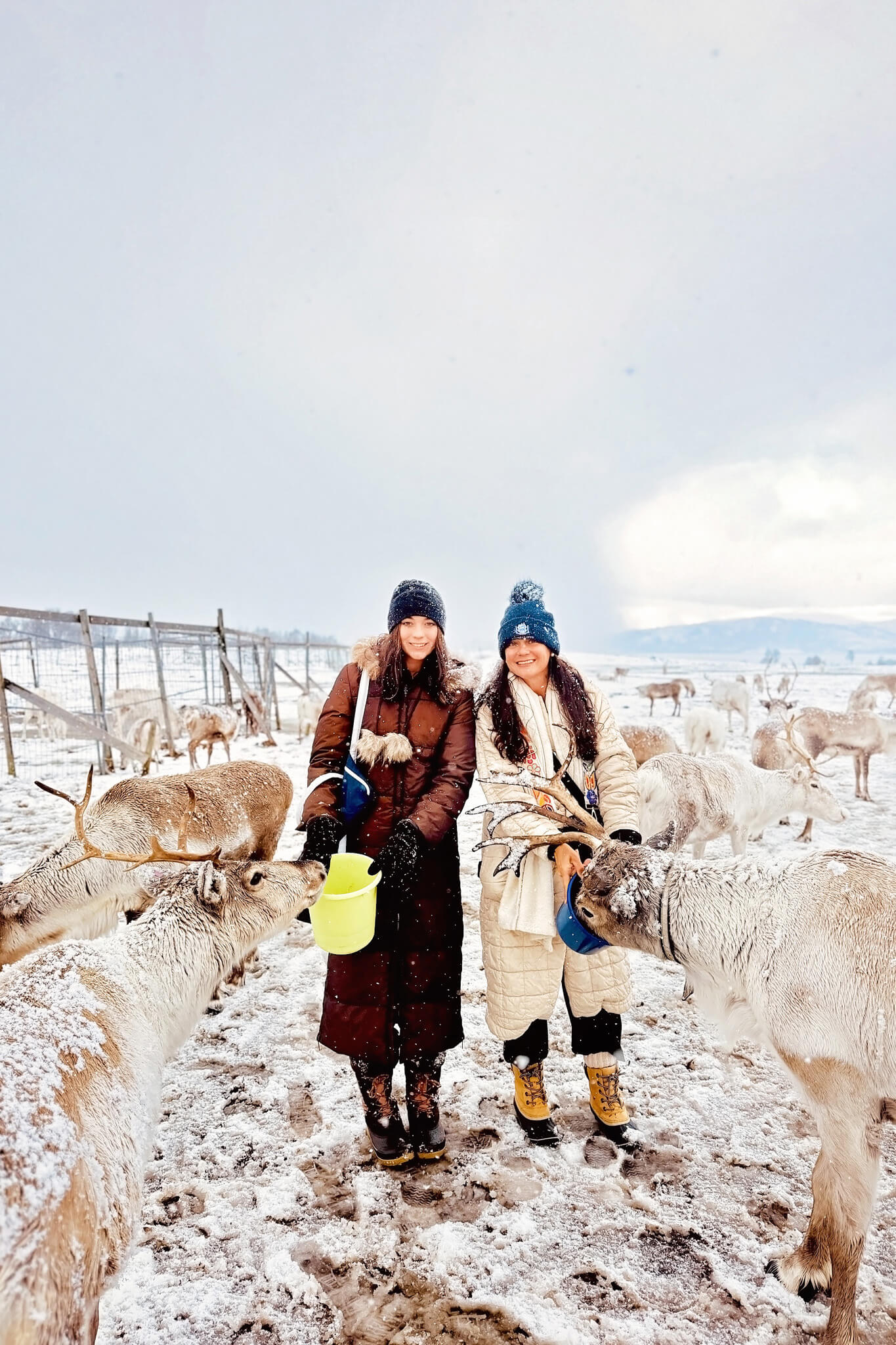 Mother Daughter Trip to Tromso Norway 05 • Our Little Lifestyle Abby and Sarah Blevins Arctic Reindeer Feeding on our Mother Daughter Trip to Tromso Norway