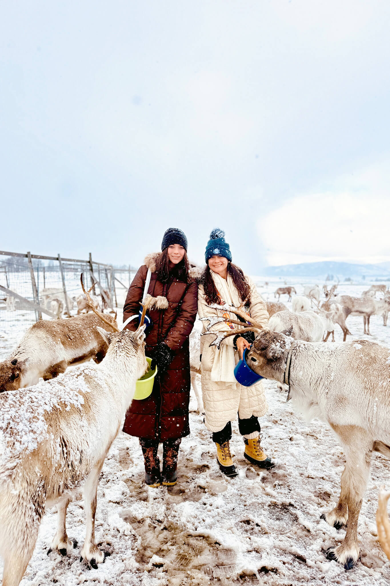 Mother Daughter Trip to Tromso Norway 06 • Our Little Lifestyle Sarah and Abby Blevins Arctic Reindeer Feeding on our Mother Daughter Trip to Tromso Norway
