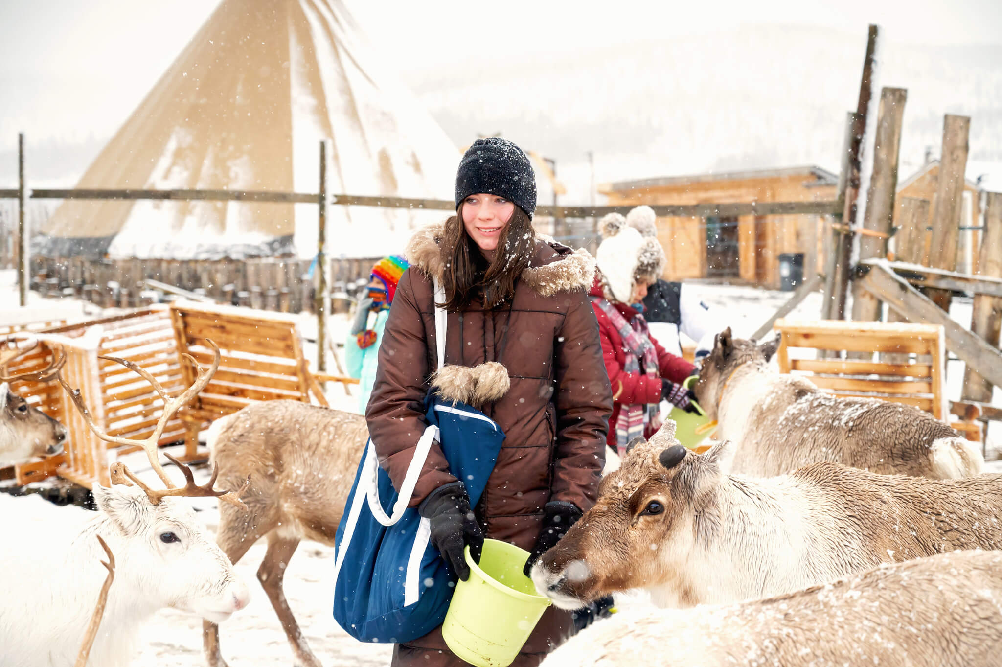 Tromso Norway 36 • Our Little Lifestyle Reindeer experience in Tromso Norway