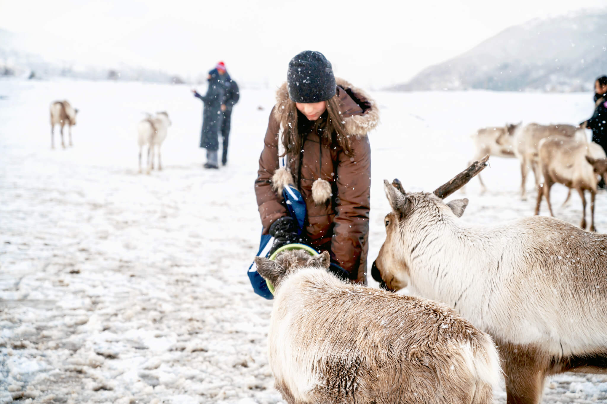 Tromso Norway 43 • Our Little Lifestyle Abby at the Tromso Arctic Reindeer Feeding Experience