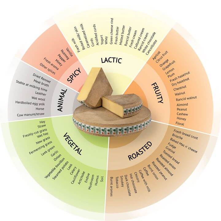 Comte Aroma Wheel