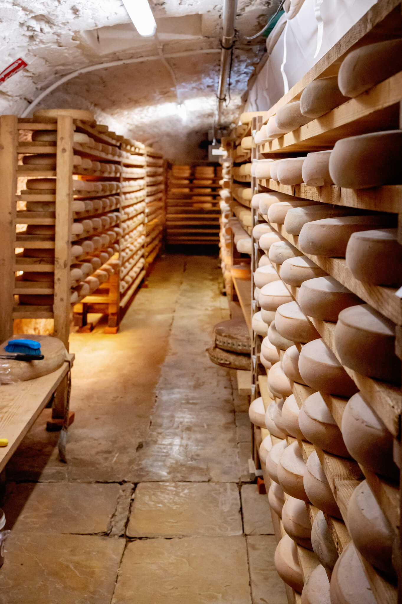 A narrow cellar lined with wooden racks stacked with round cheese wheels aging on shelves in a stone-walled room under warm lighting.
