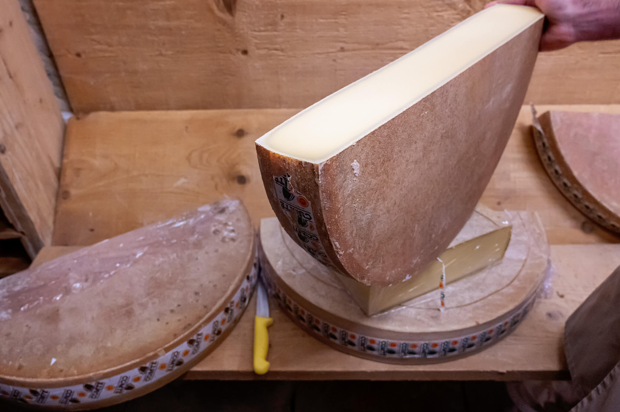 freshly opened comte cheese block resting on wooden aging hoops with a yellow-handled tool nearby in a cheese aging room.