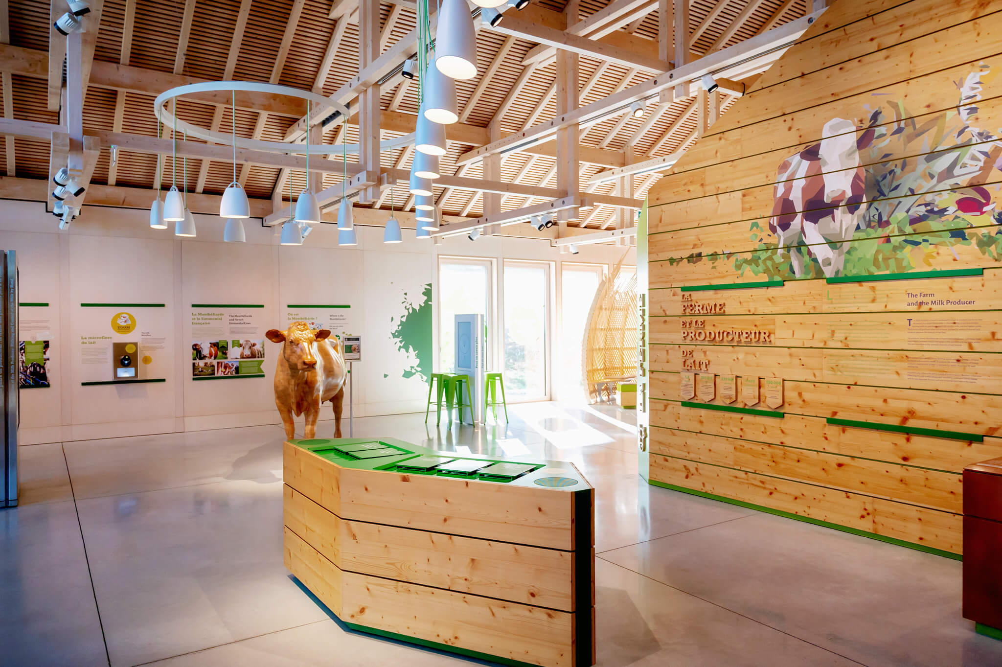 Maison du Comté exhibit hall with a life-size wooden cow statue, white display counters, and green-accented panels on the walls.