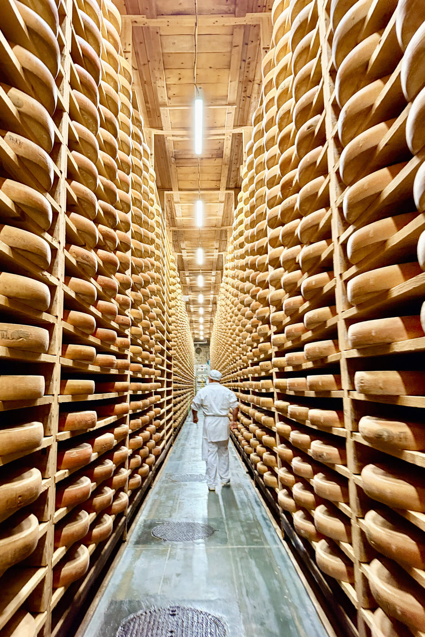 Comte Cheese Aging Cellar
