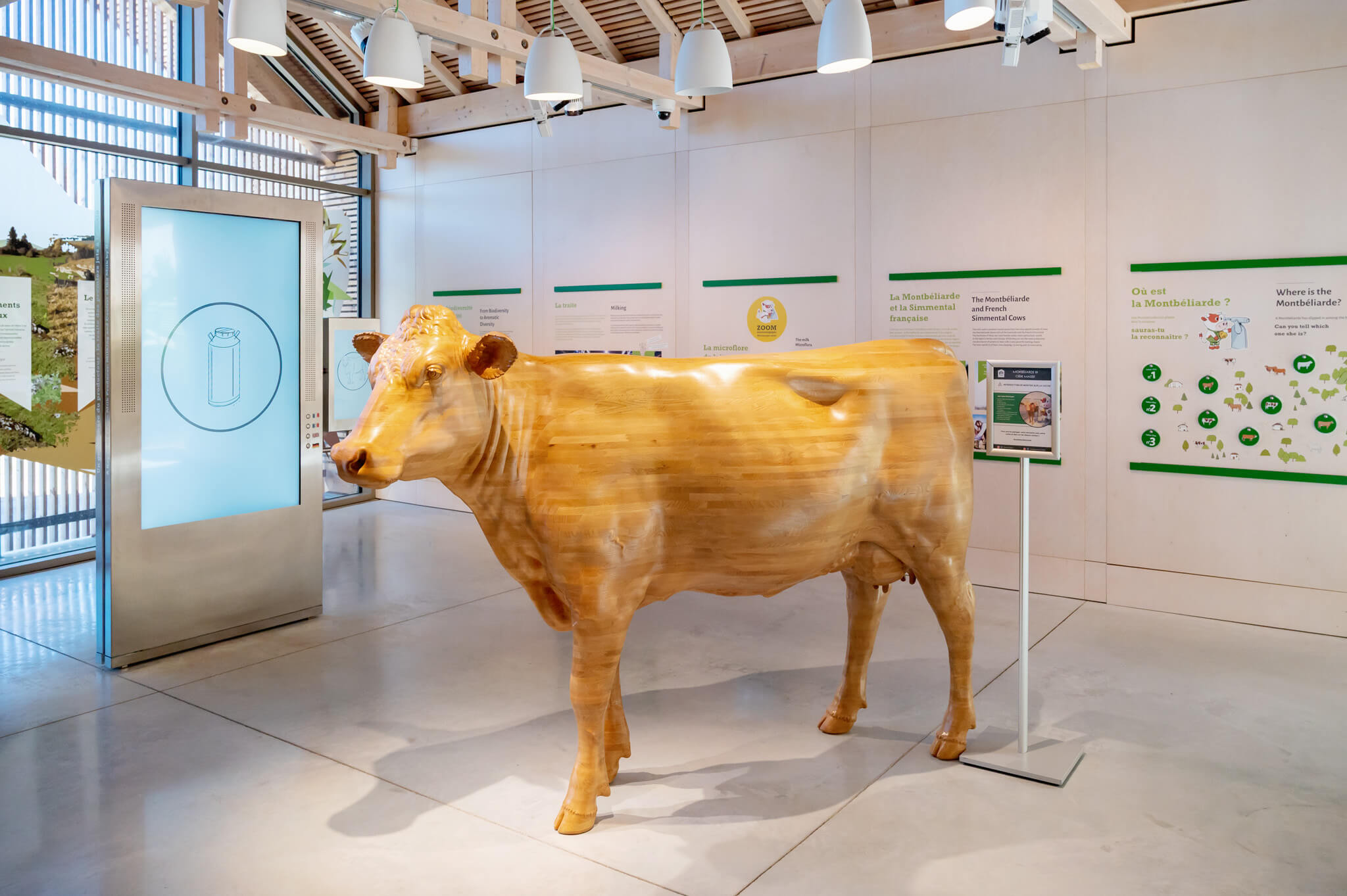 Life-size wooden cow sculpture on display in a modern Maison du Comté, with informational panels along the wall behind it.