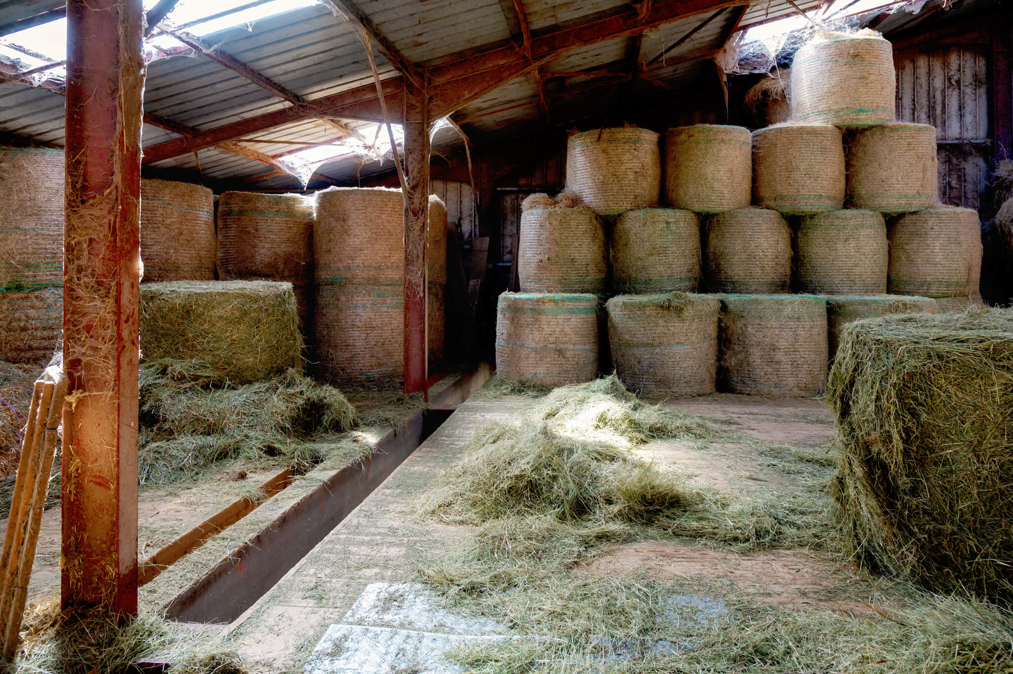 Dairy Farm in France