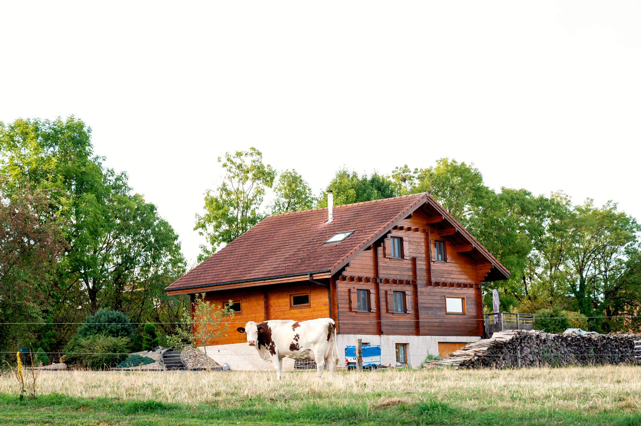 Wooden chalet-style house with a red roof in a green yard, and a cow standing in the foreground.