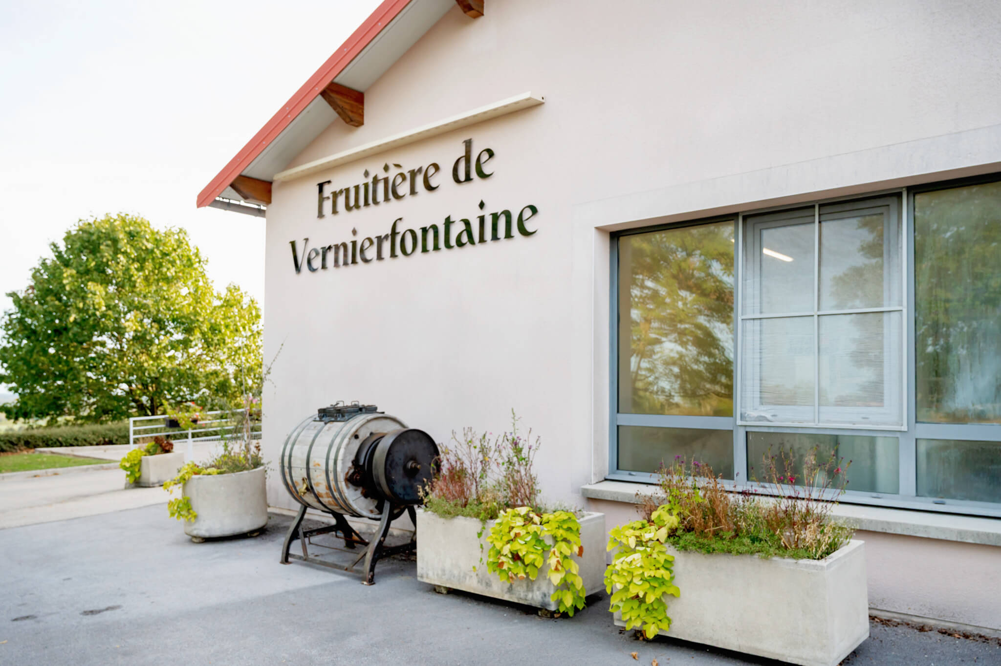 Storefront wall with a large window, a sign reading'Fruitier de Vernierfontaine', and concrete planters with green-yellow plants outside.