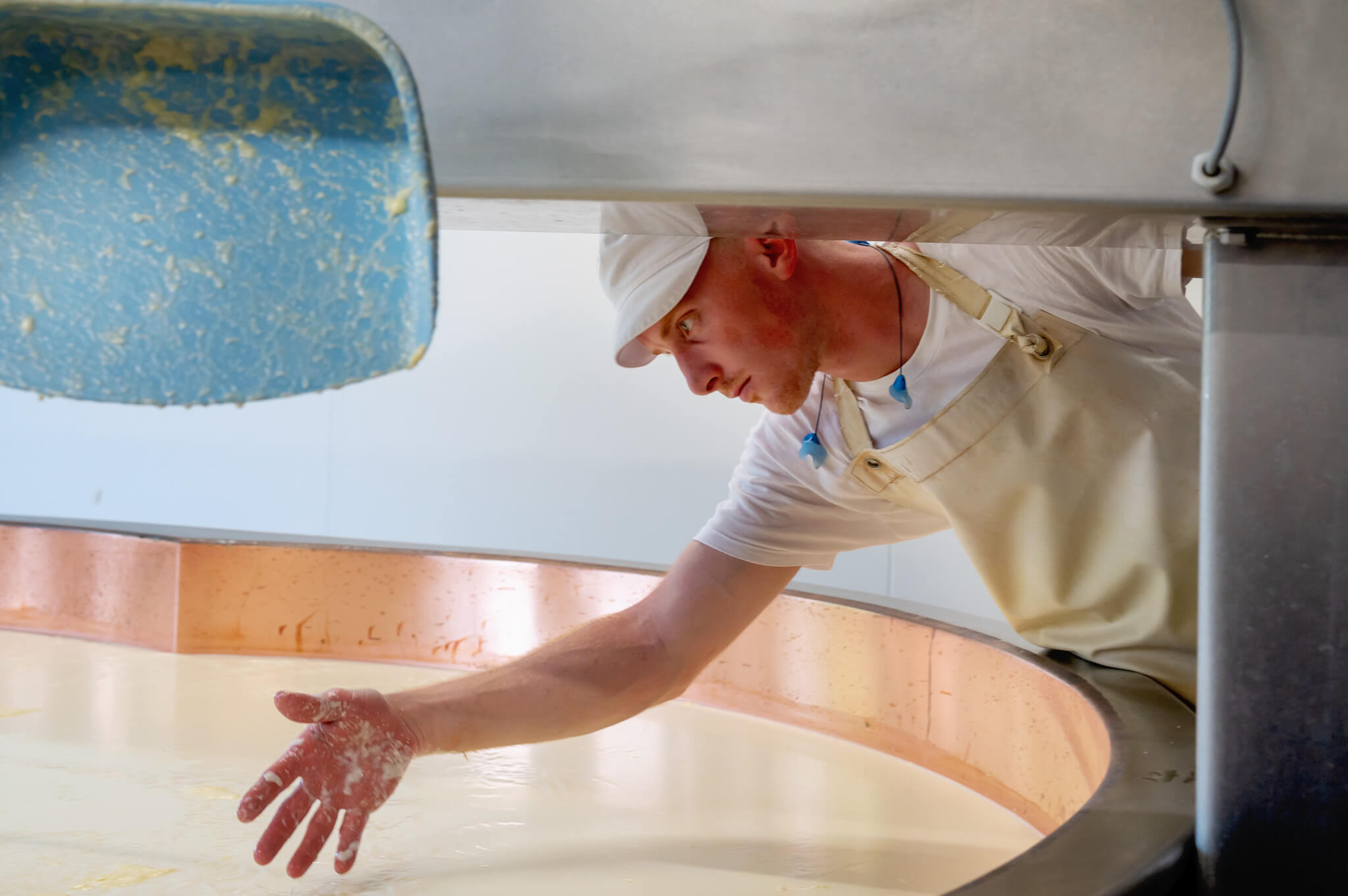 Comte cheese making