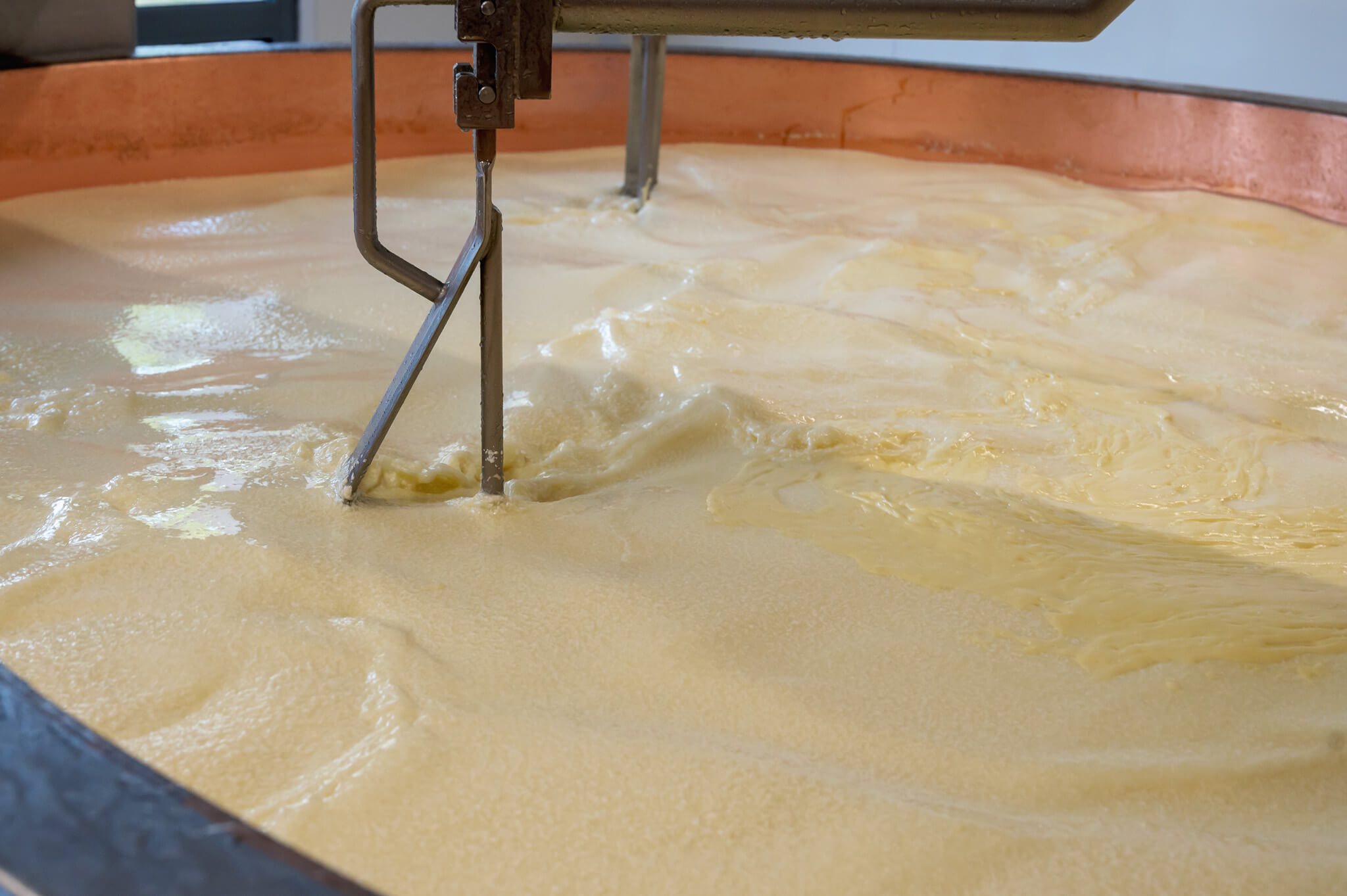 Comte cheese making
