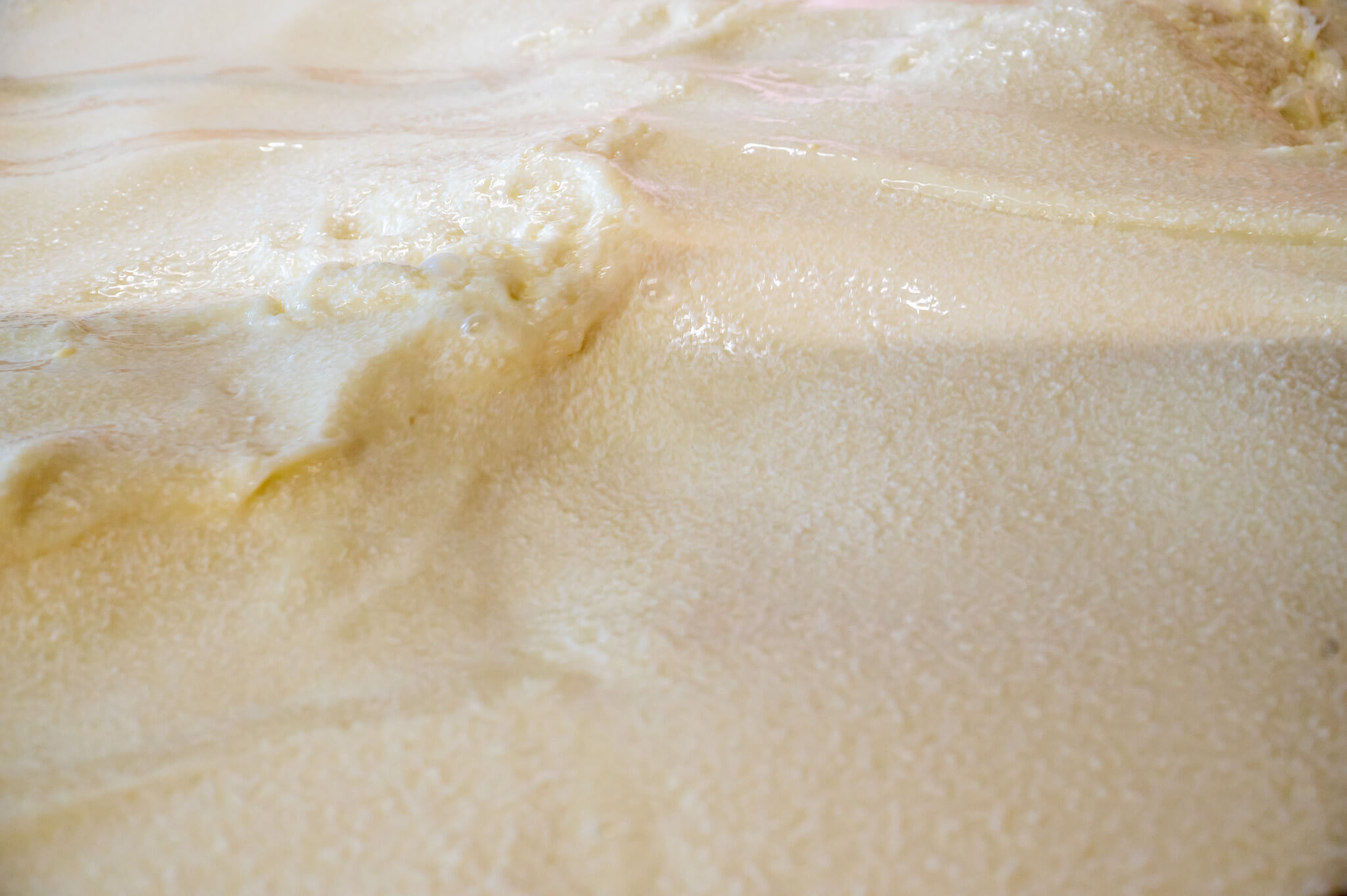 Comte cheese making
