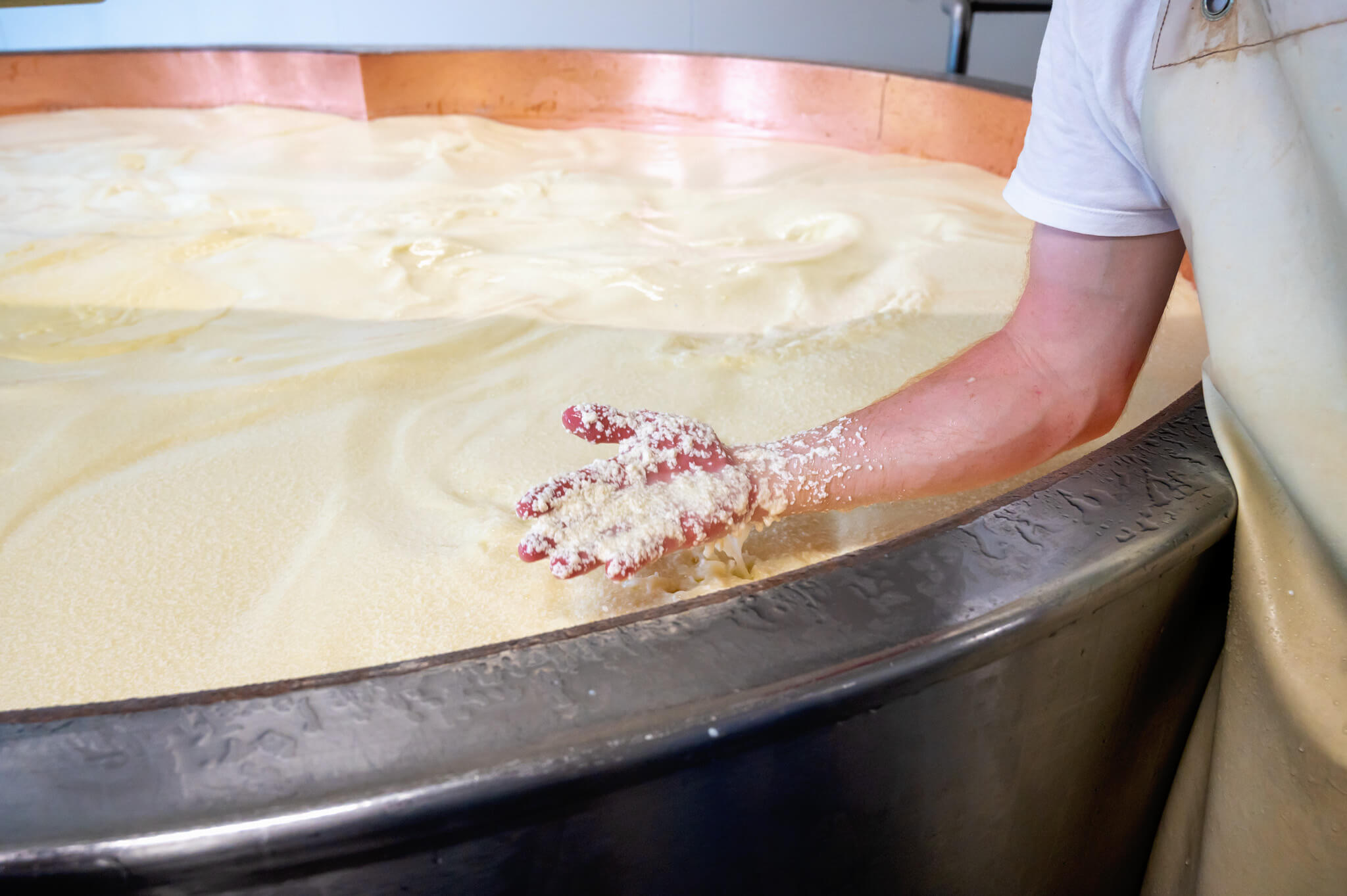 Comte cheese making