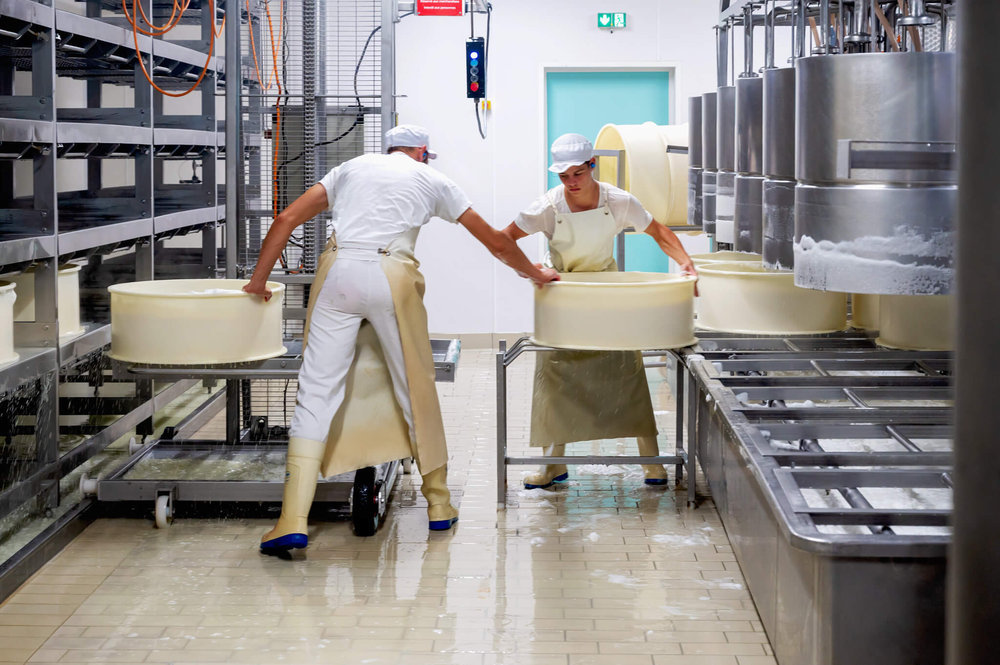 Two workers in white protective clothing lift and move large beige vats in a comte cheese dairy processing plant with stainless steel equipment around them