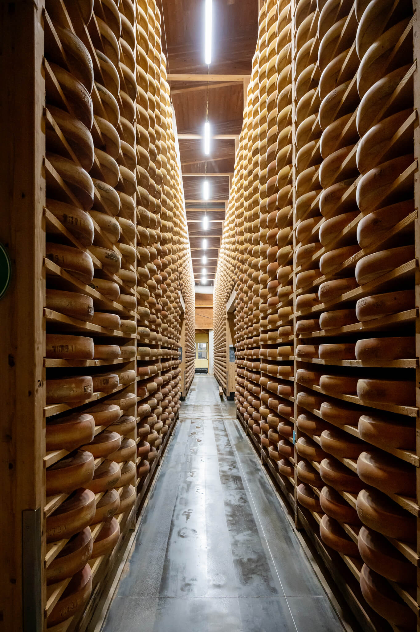 Narrow comte cheese aging cellar with round cheese wheels stacked on wooden racks along both walls, dim lighting overhead.