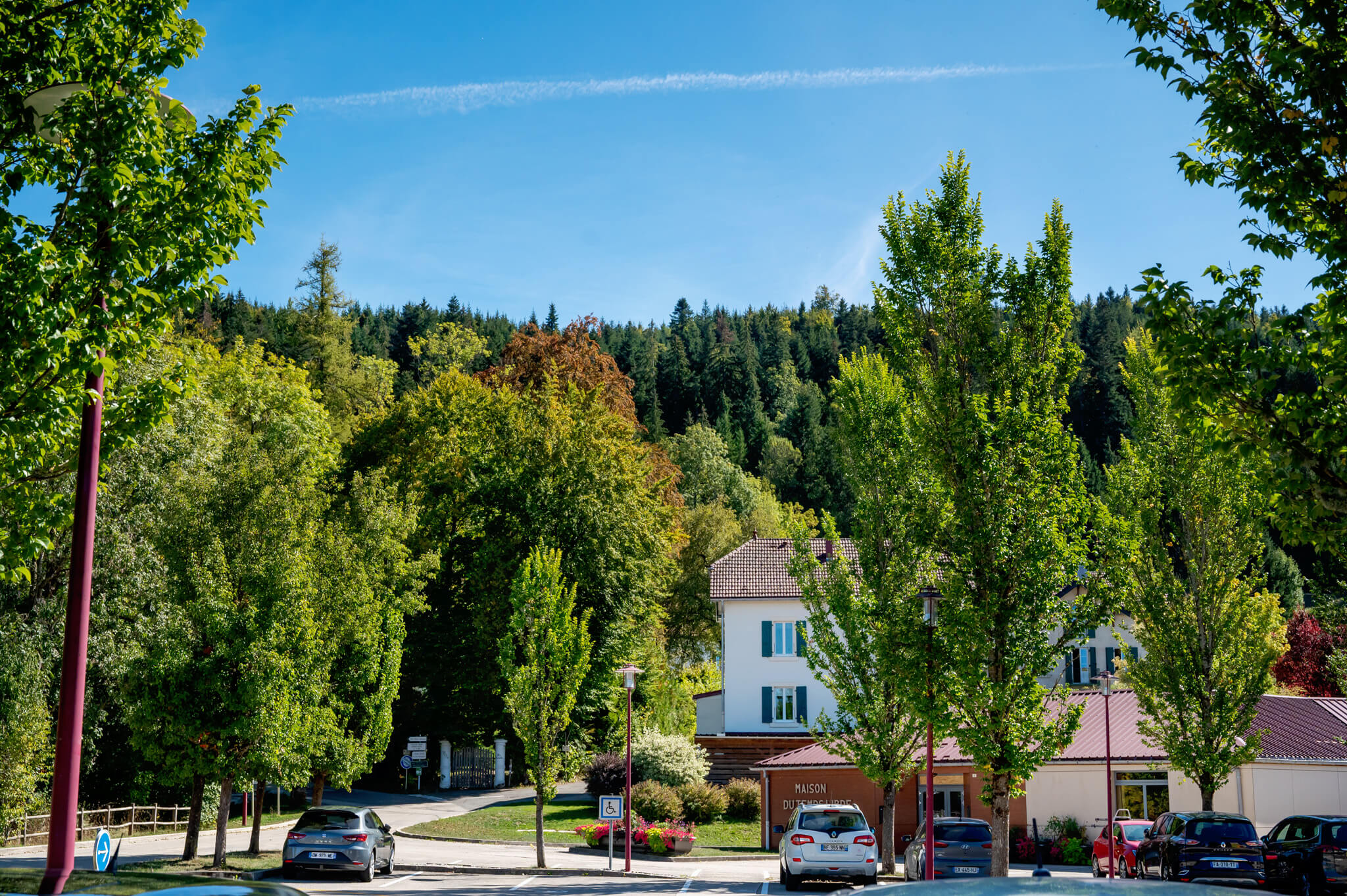 Tree-lined street in sunlight with a white building featuring blue shutters and several parked cars under a clear blue sky.