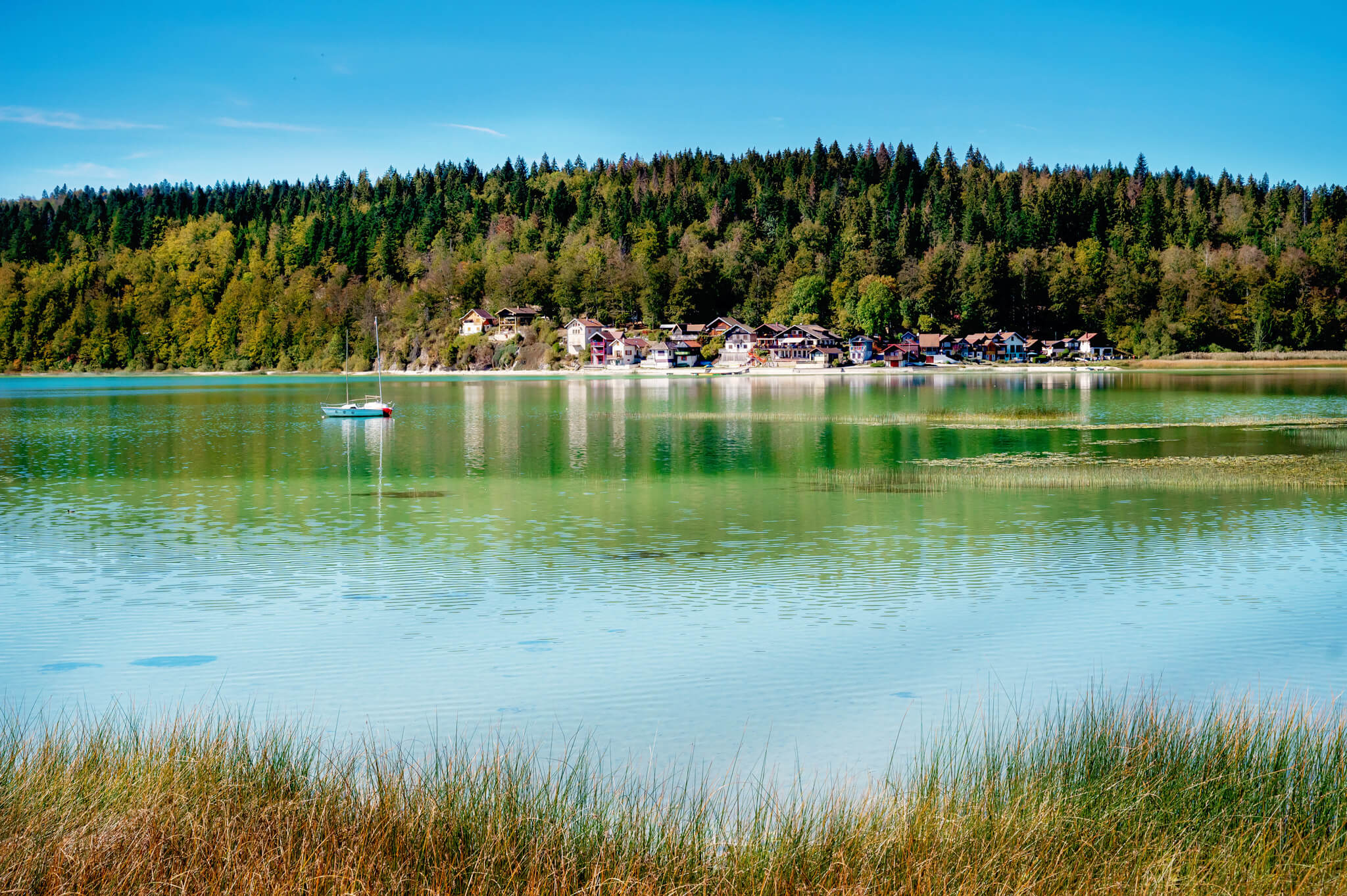 A calm lake with a row of houses along the shore and a dense forest beyond under a clear blue sky, a small sailboat docked near the houses.