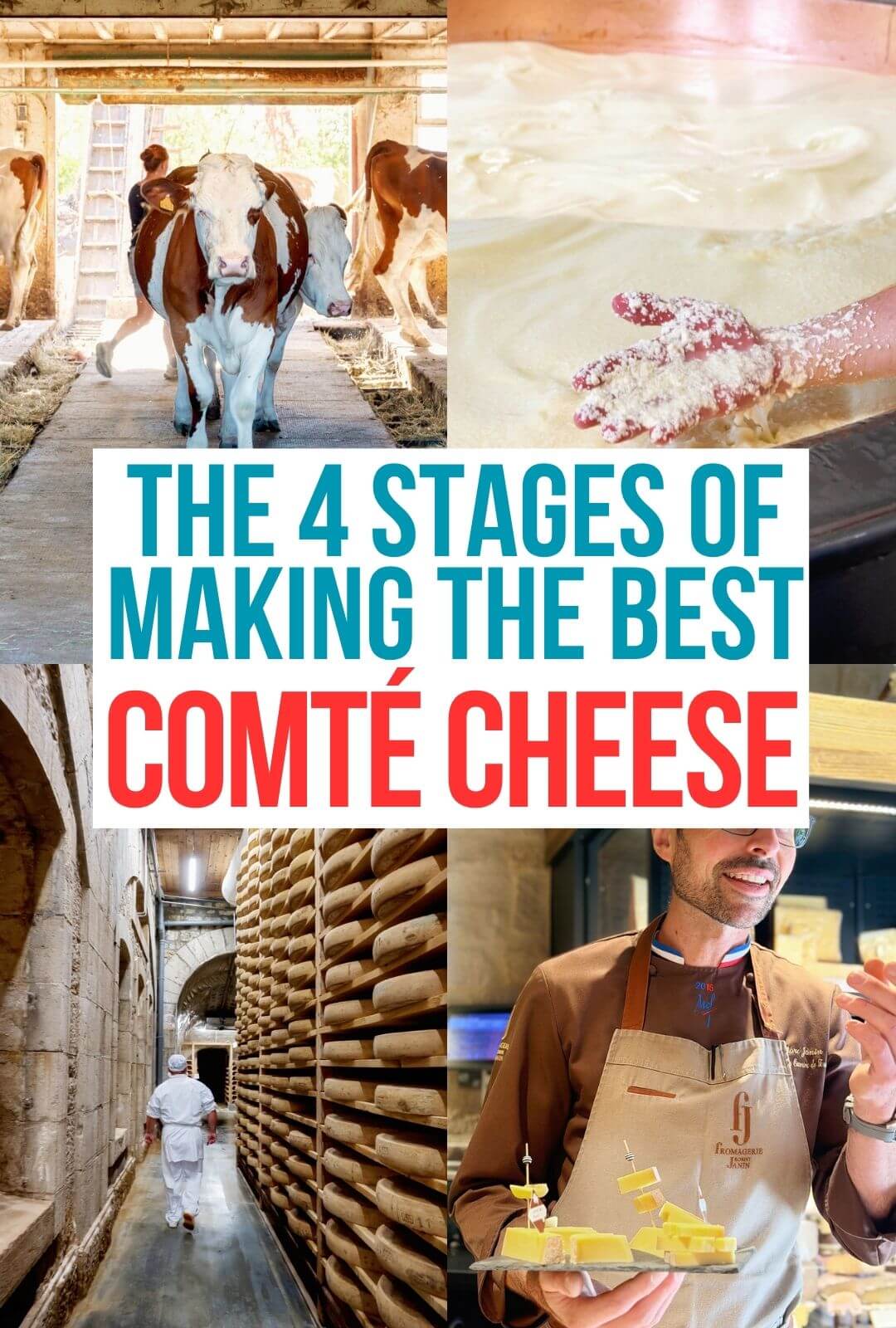 4 Stages of making Comte Cheese in France