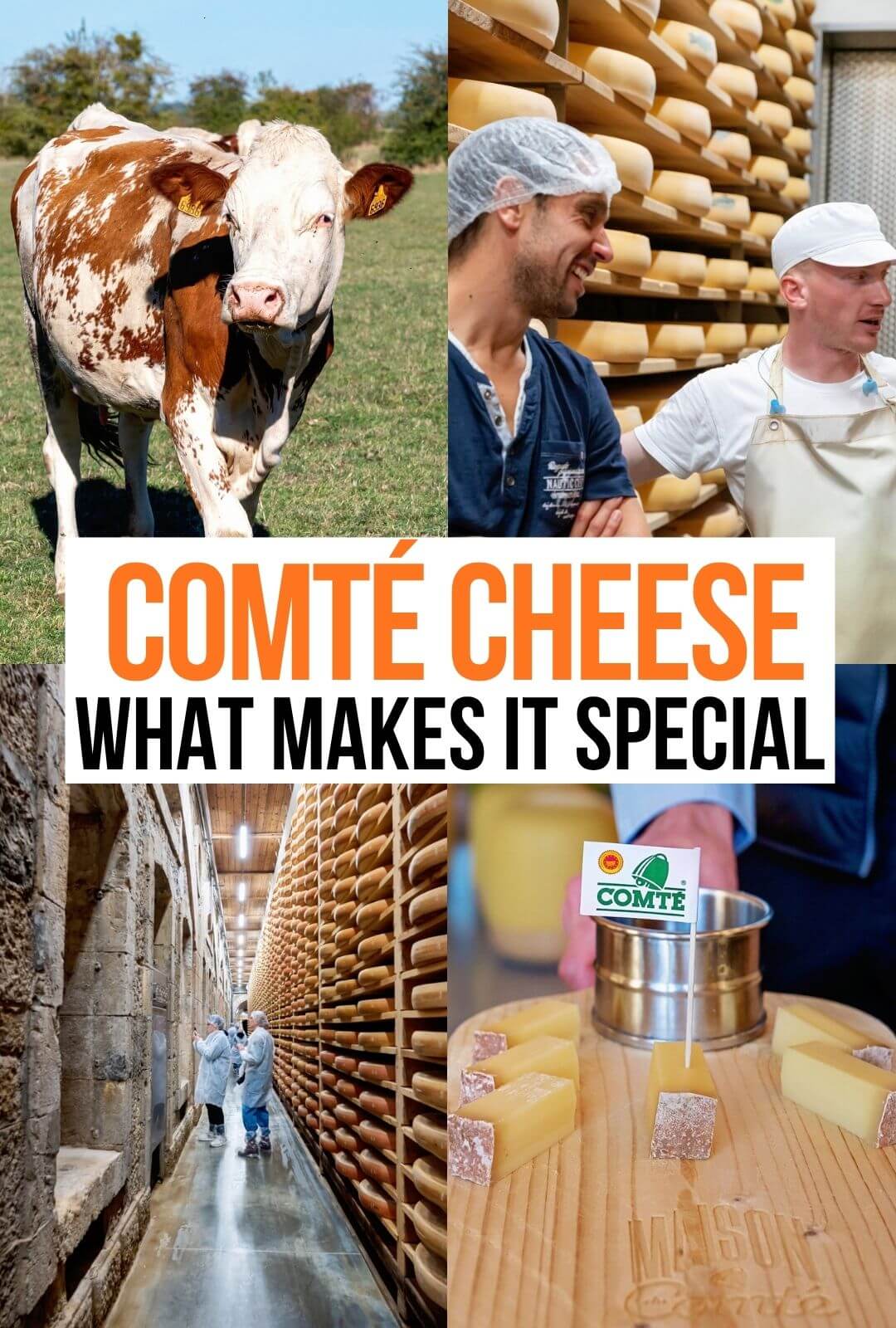 Comte Cheese in France